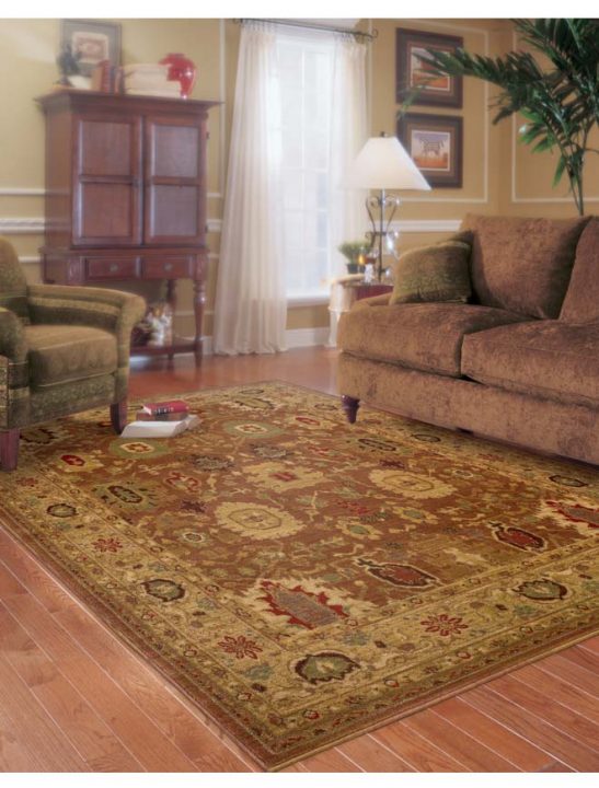 Allure 6F Machine Woven Area Rug